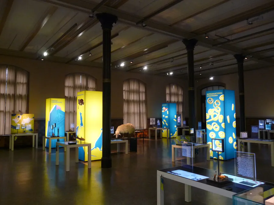 Ausstellungsarchitektur und Vitrinenbau der hertzer GmbH